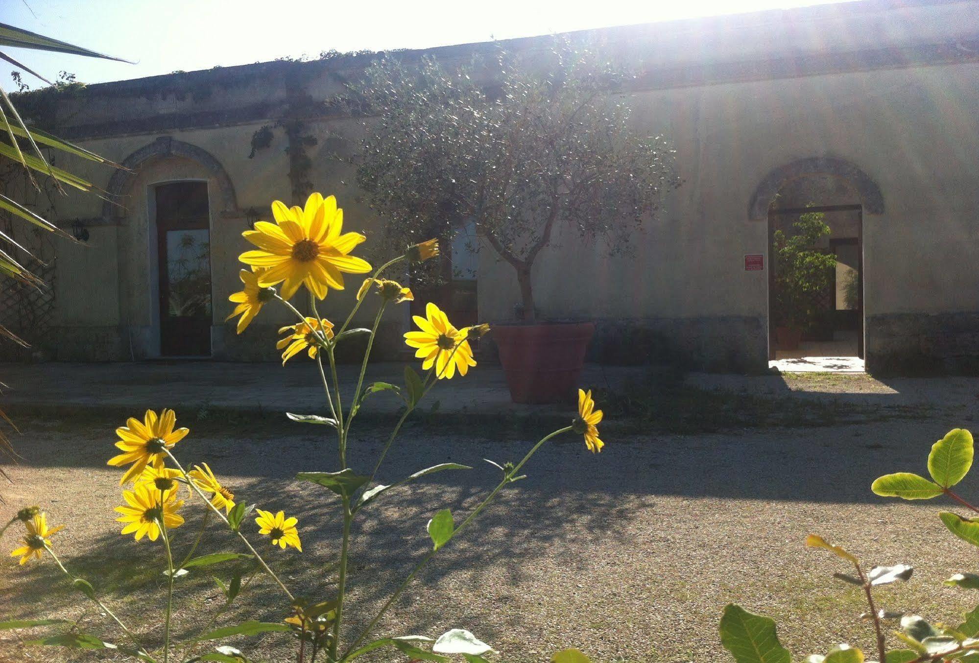 Bio-Agriturismo masseria La Palombara Salve Exterior foto